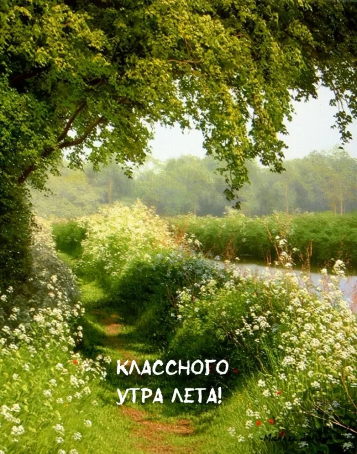 Картинки с Добрым утром лета (230 открыток). Красивые и позитивные картинки Доброе летнее утро