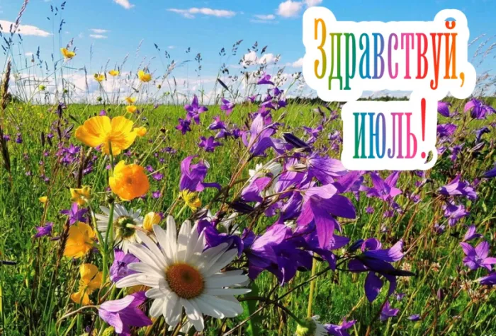 Картинки с первым днем июля (95 открыток). Красивые картинки с первым днем июля