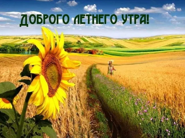 Картинки с Добрым утром лета (230 открыток). Красивые и позитивные картинки Доброе летнее утро