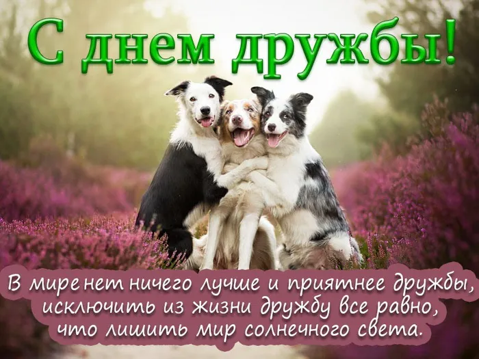 Картинки с Днем друзей (110 открыток). Красивые и прикольные картинки с Днем друзей