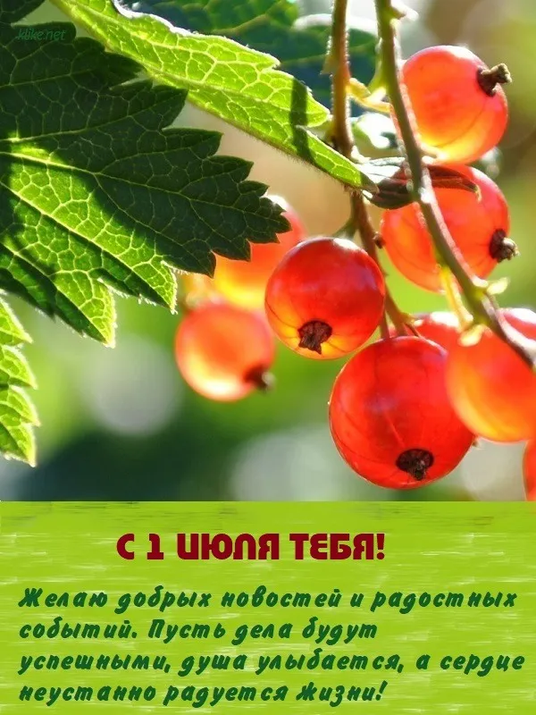 Картинки с первым днем июля (95 открыток). Красивые картинки с первым днем июля