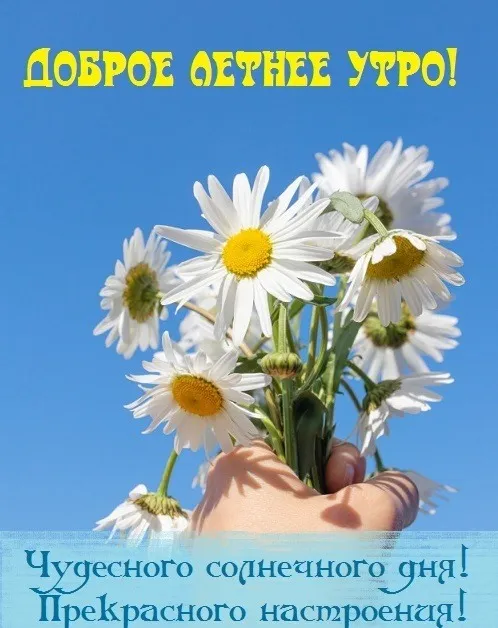 Картинки с Добрым утром лета (230 открыток). Красивые и позитивные картинки Доброе летнее утро