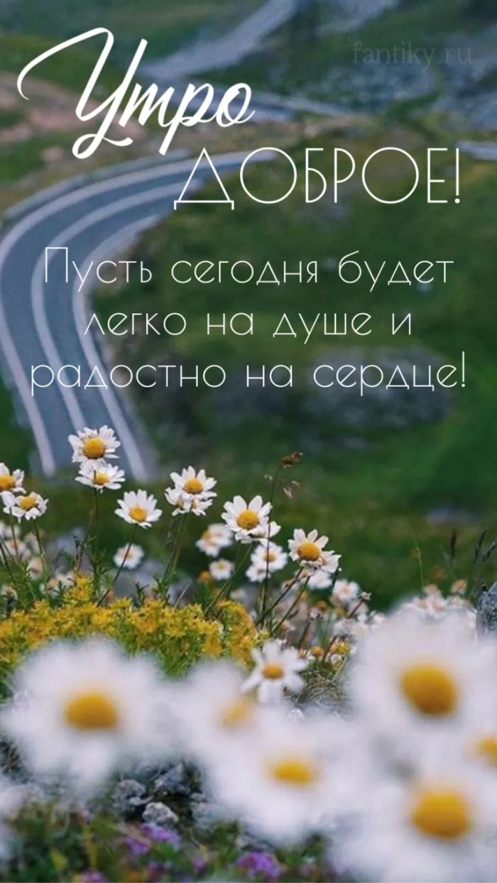 Картинки с Добрым утром лета (230 открыток). Красивые и позитивные картинки Доброе летнее утро