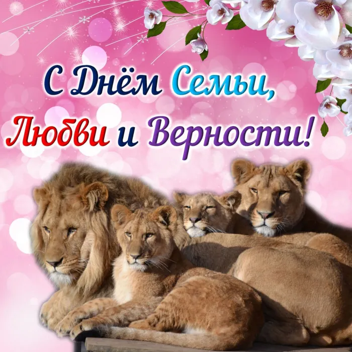 Картинки с Днем семьи, любви и верности (130 открыток). Красивые картинки на День семьи, любви и верности