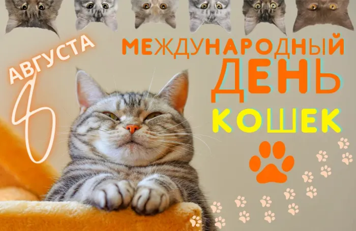 Картинки со Всемирным днем кошек (50 открыток). Красивые картинки со Всемирным днем кошек