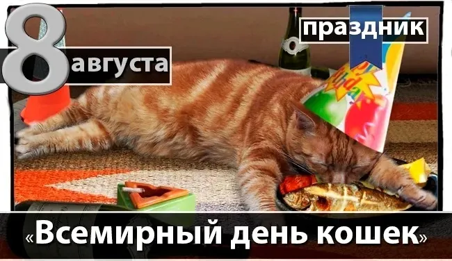 Картинки со Всемирным днем кошек (50 открыток). Красивые картинки со Всемирным днем кошек