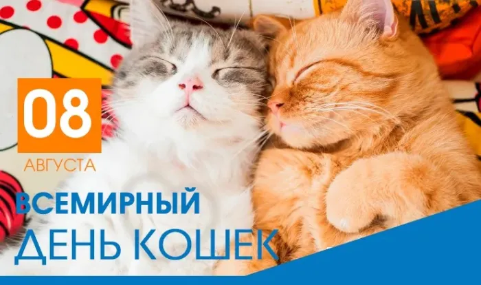 Картинки со Всемирным днем кошек (50 открыток). Красивые картинки со Всемирным днем кошек
