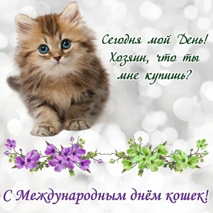 Картинки со Всемирным днем кошек (50 открыток). Красивые картинки со Всемирным днем кошек