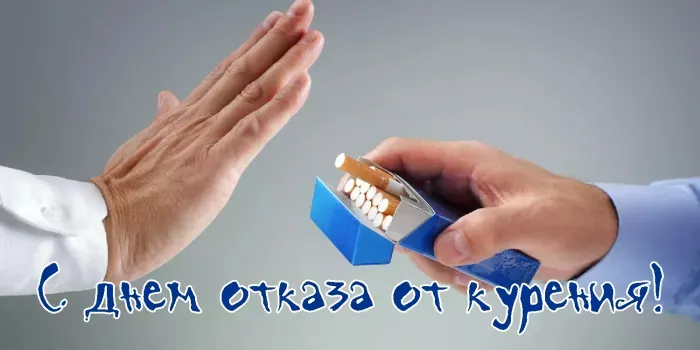 Картинки со Всемирным днем кошек (50 открыток). Красивые картинки со Всемирным днем кошек