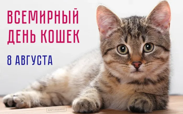 Картинки со Всемирным днем кошек (50 открыток)
