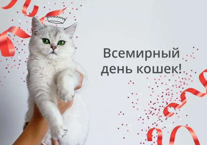 Картинки со Всемирным днем кошек (50 открыток). Красивые картинки со Всемирным днем кошек