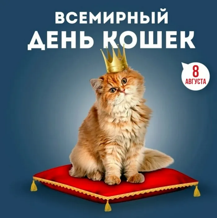 Картинки со Всемирным днем кошек (50 открыток). Красивые картинки со Всемирным днем кошек