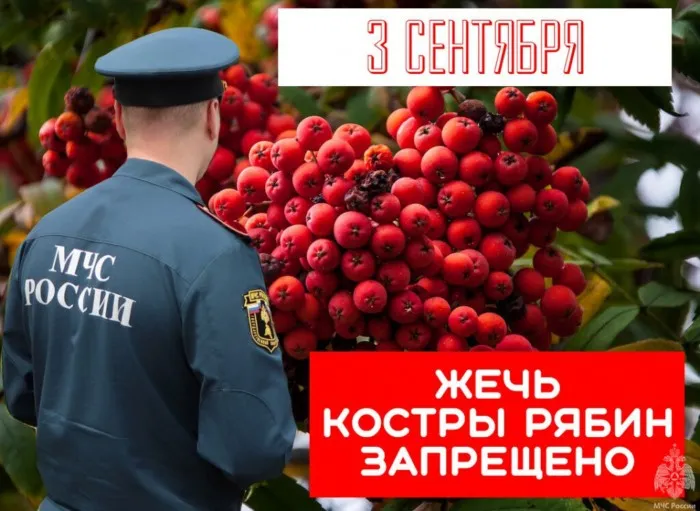 Картинки с Шуфутиновым днем (55 открыток). Шуфутинов день - прикольные картинки и мемы