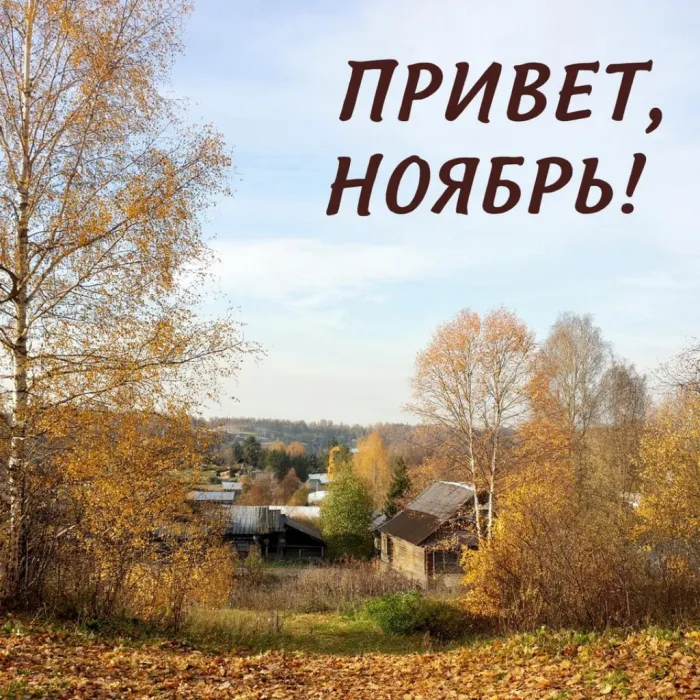 Картинки с первым днем ноября (100 открыток). Открытки с надписью: Привет, ноябрь!