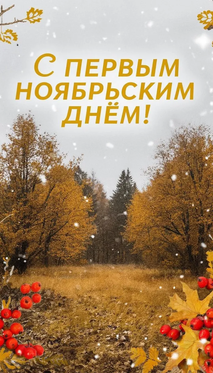 Картинки с первым днем ноября (100 открыток). Позитивные картинки с первым ноябрьским днем