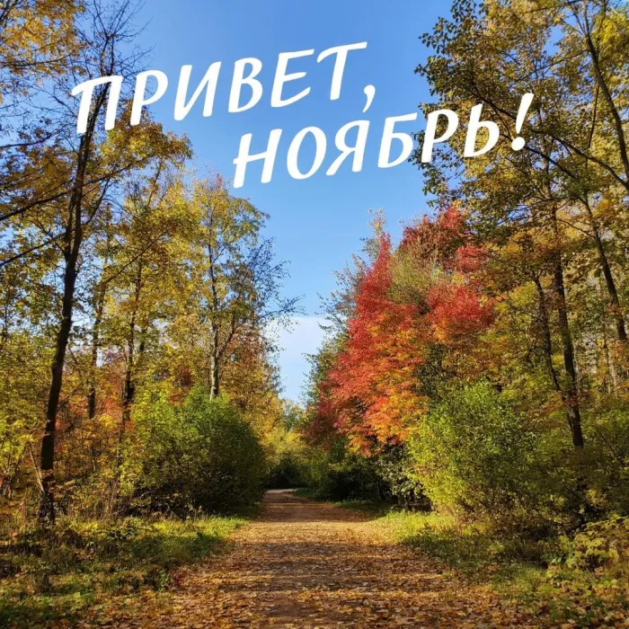 Картинки с первым днем ноября (100 открыток). Открытки с надписью: Привет, ноябрь!