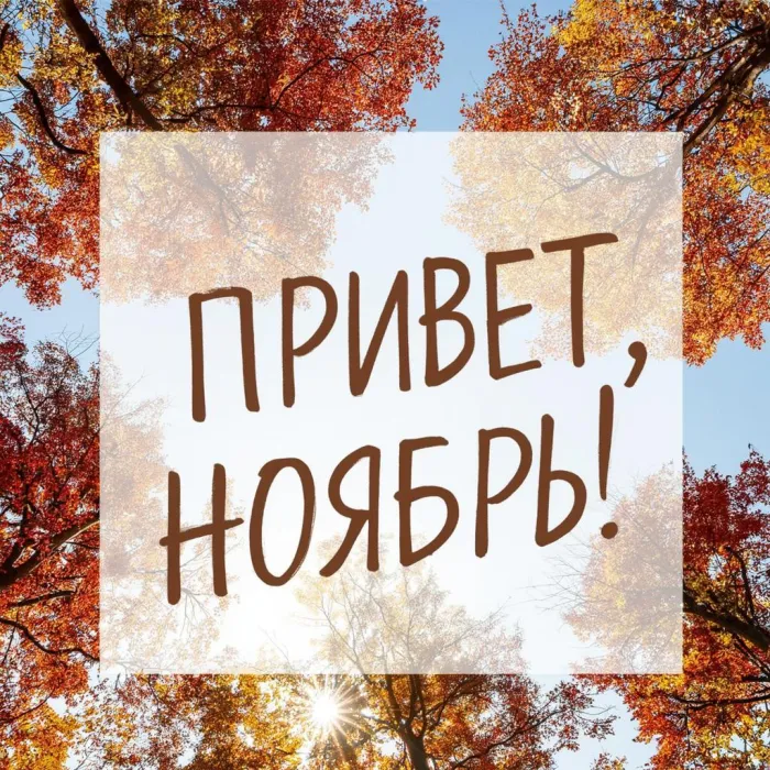Картинки с первым днем ноября (100 открыток). Открытки с надписью: Привет, ноябрь!