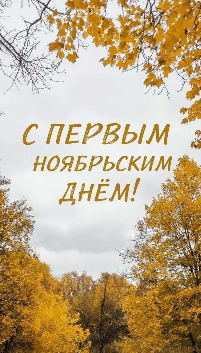 Картинки с первым днем ноября (100 открыток). Позитивные картинки с первым ноябрьским днем