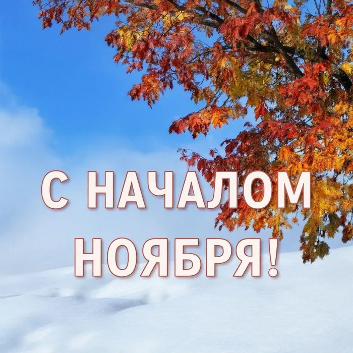 Картинки с первым днем ноября (100 открыток). Оригинальные картинки с началом ноября