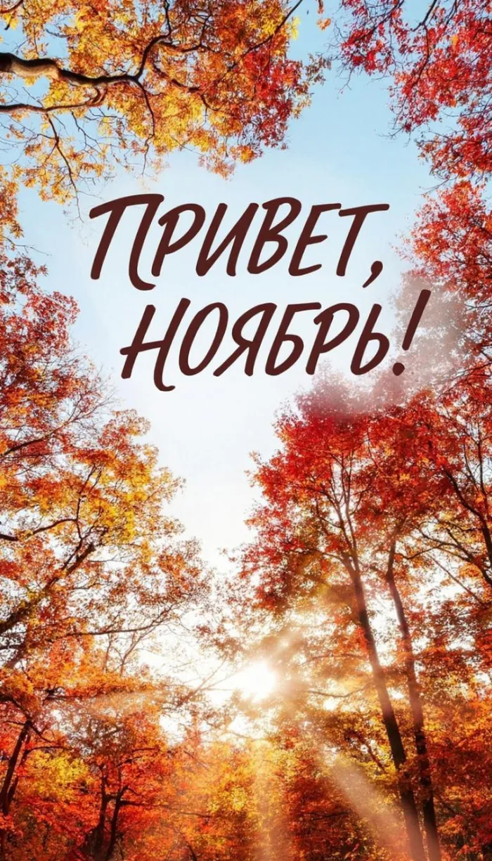 Картинки с первым днем ноября (100 открыток). Открытки с надписью: Привет, ноябрь!