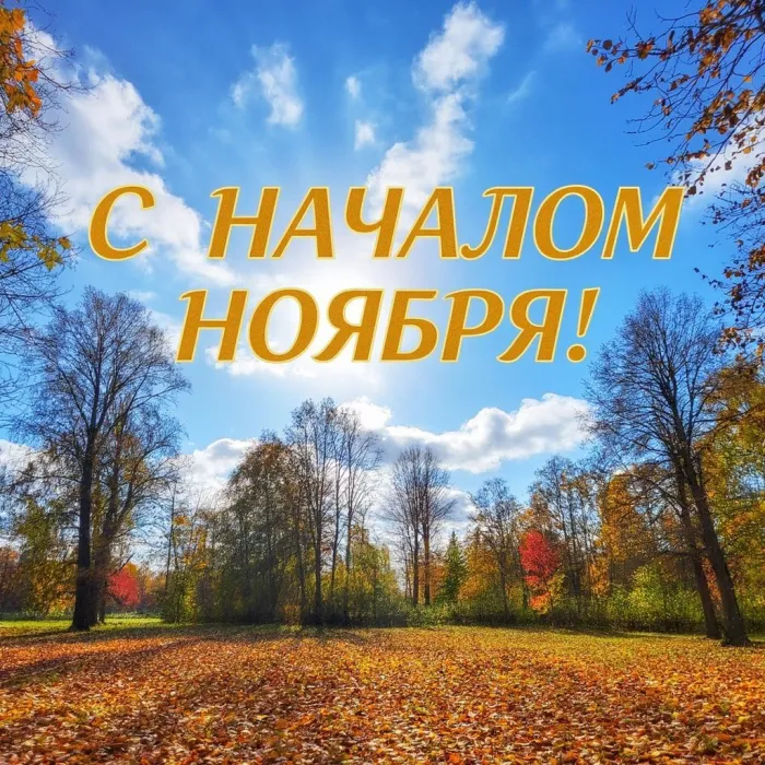 Картинки с первым днем ноября (100 открыток). Оригинальные картинки с началом ноября
