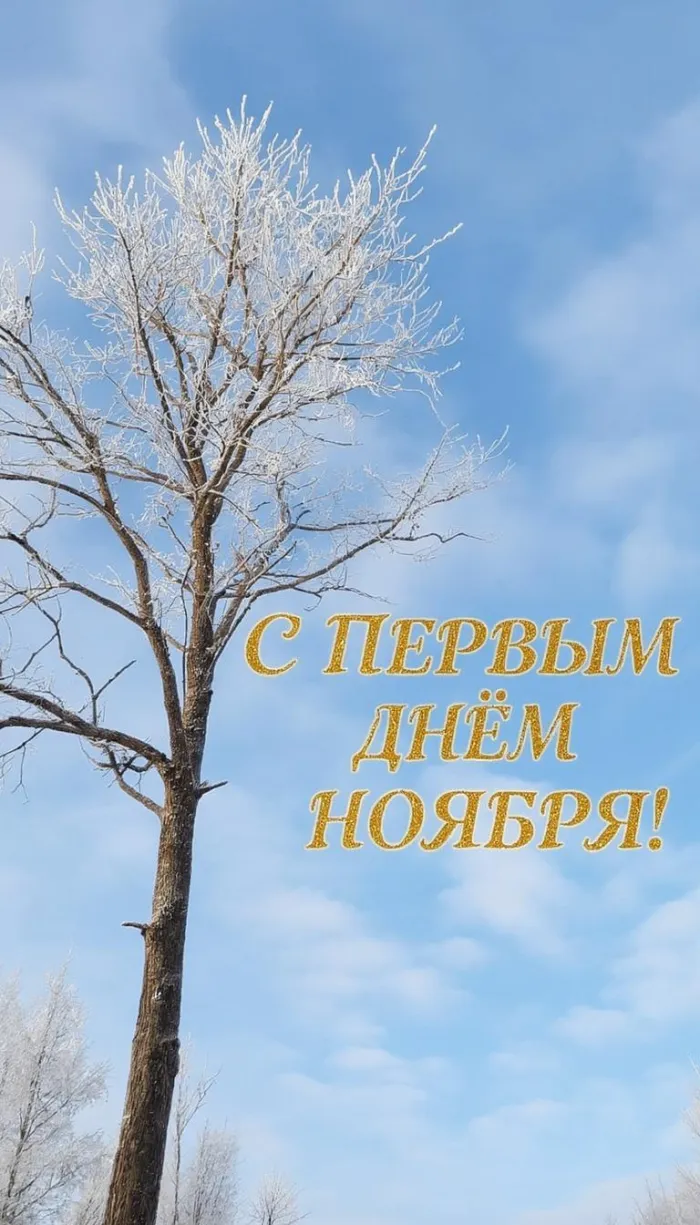 Картинки с первым днем ноября (100 открыток). Красивые открытки с первым днем ноября