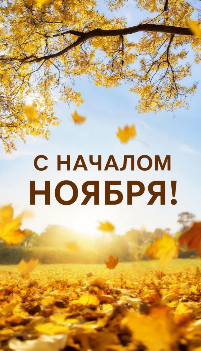 Картинки с первым днем ноября (100 открыток). Оригинальные картинки с началом ноября