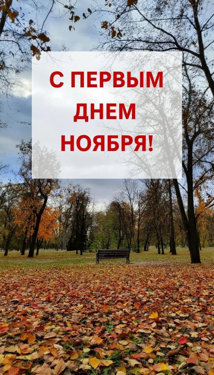 Картинки с первым днем ноября (100 открыток). Красивые открытки с первым днем ноября