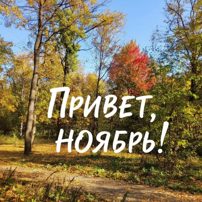 Картинки с первым днем ноября (100 открыток). Открытки с надписью: Привет, ноябрь!