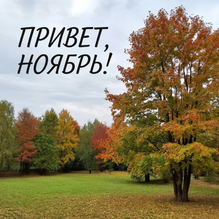 Картинки с первым днем ноября (100 открыток). Открытки с надписью: Привет, ноябрь!