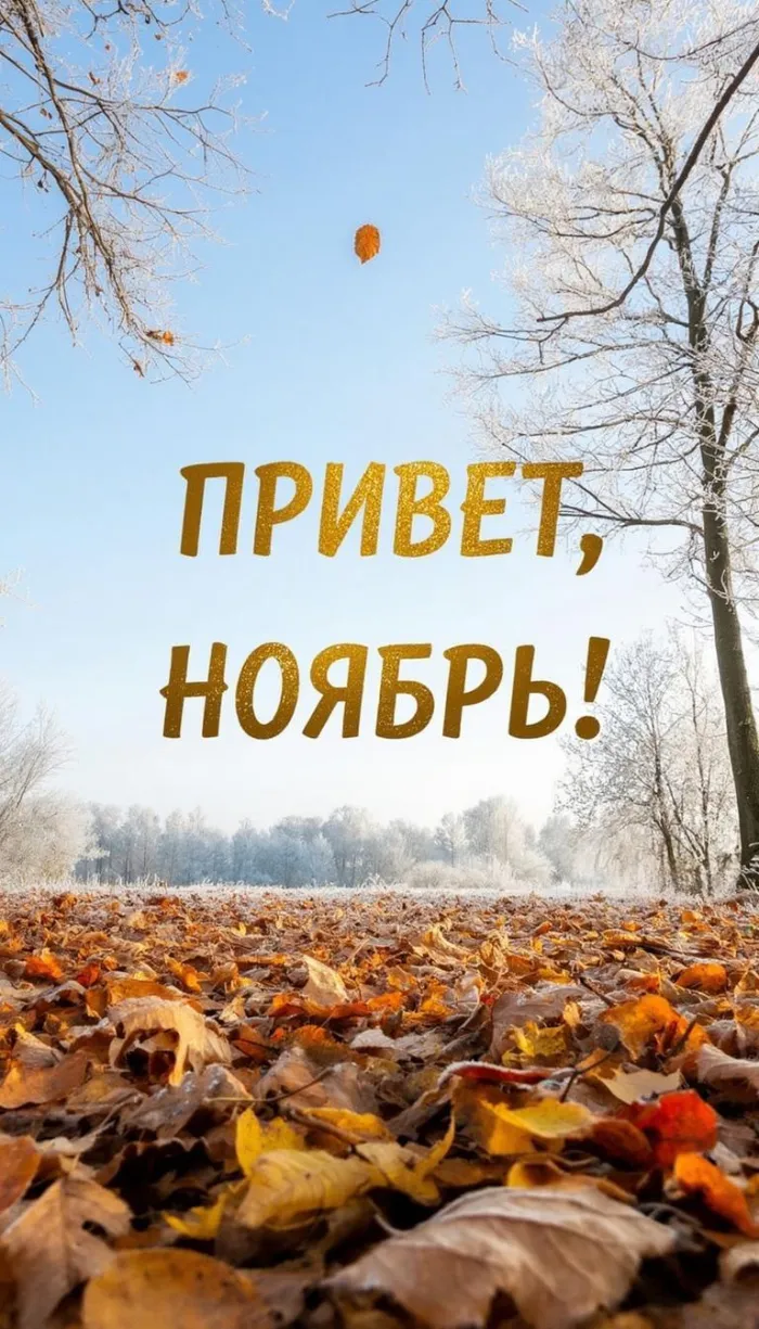 Картинки с первым днем ноября (100 открыток). Открытки с надписью: Привет, ноябрь!