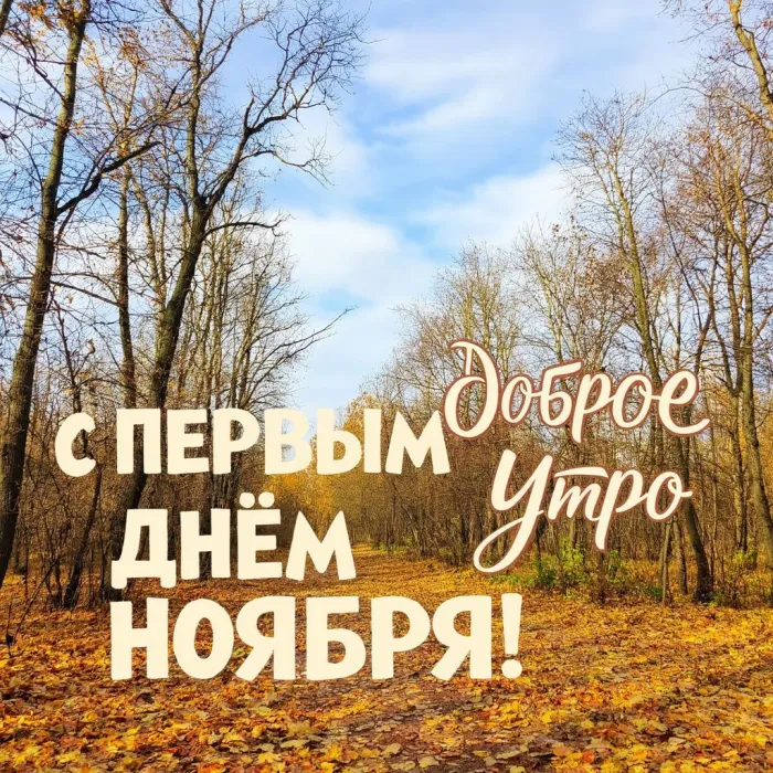 Картинки с первым днем ноября (100 открыток). Картинки с надписью: Доброе утро, с первым днем ноября