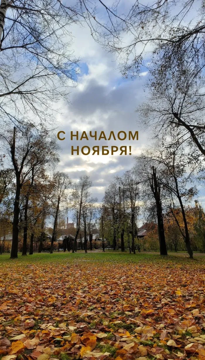 Картинки с первым днем ноября (100 открыток). Оригинальные картинки с началом ноября