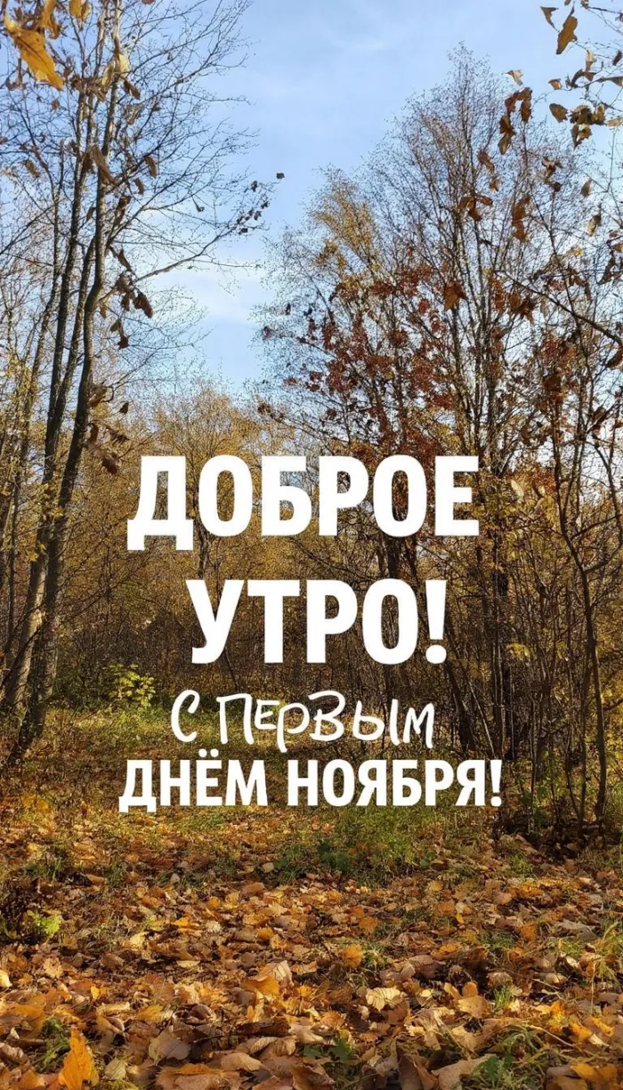 Картинки с первым днем ноября (100 открыток). Картинки с надписью: Доброе утро, с первым днем ноября