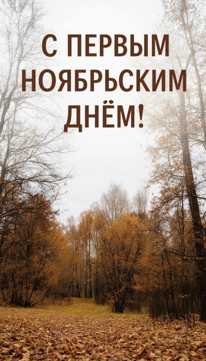 Картинки с первым днем ноября (100 открыток). Позитивные картинки с первым ноябрьским днем