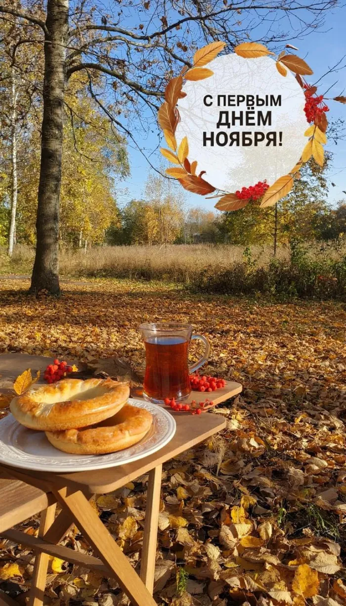 Картинки с первым днем ноября (100 открыток). Красивые открытки с первым днем ноября