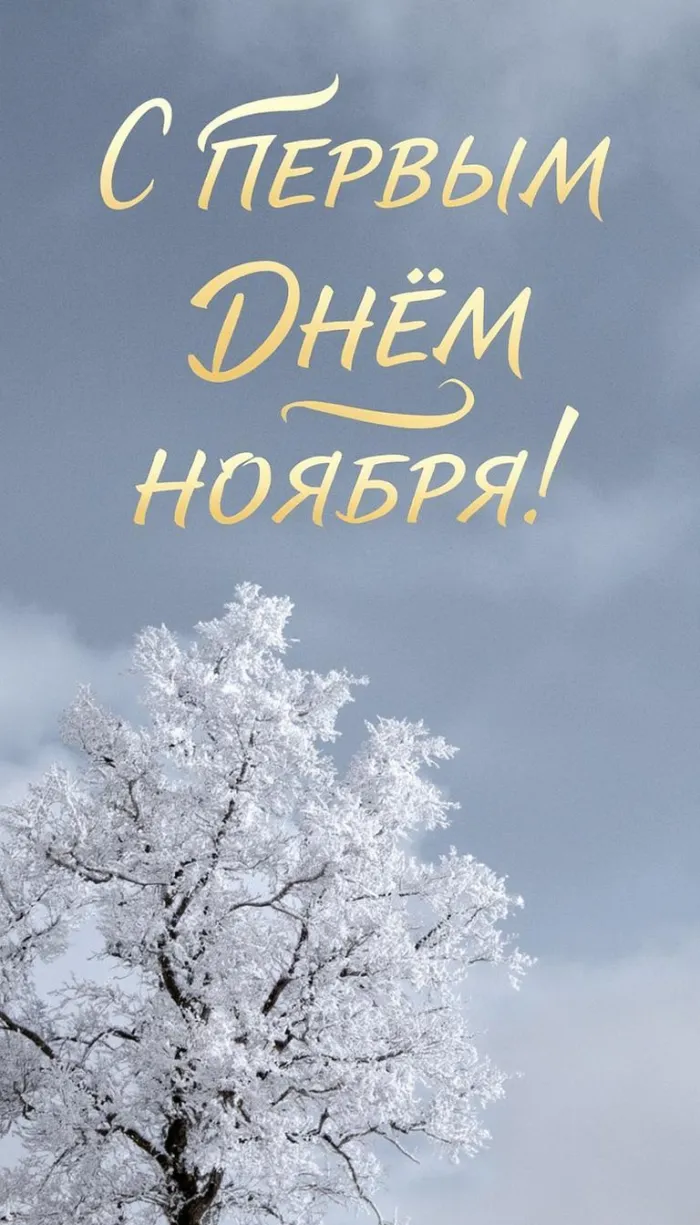 Картинки с первым днем ноября (100 открыток). Красивые открытки с первым днем ноября