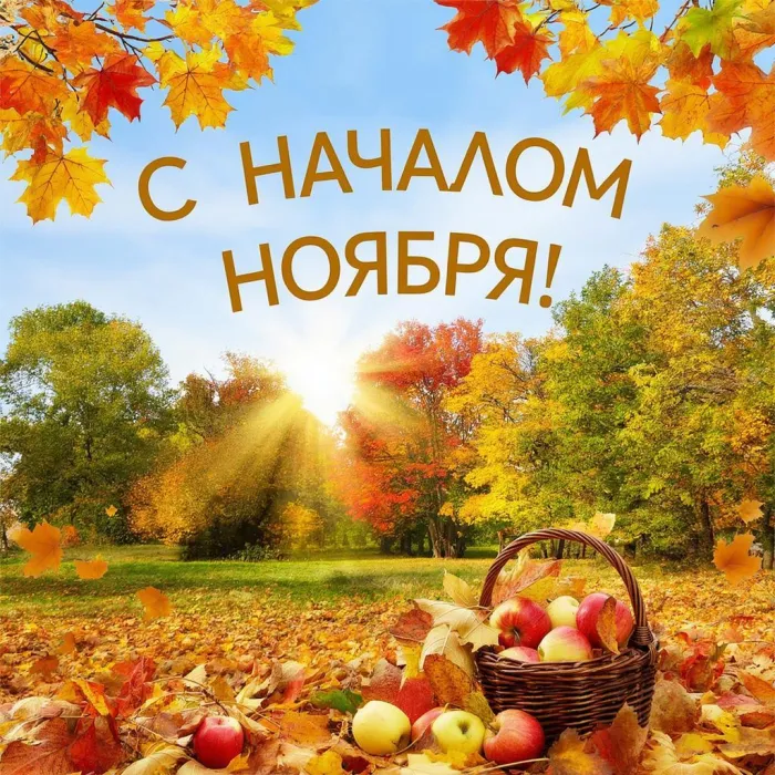 Картинки с первым днем ноября (100 открыток). Оригинальные картинки с началом ноября