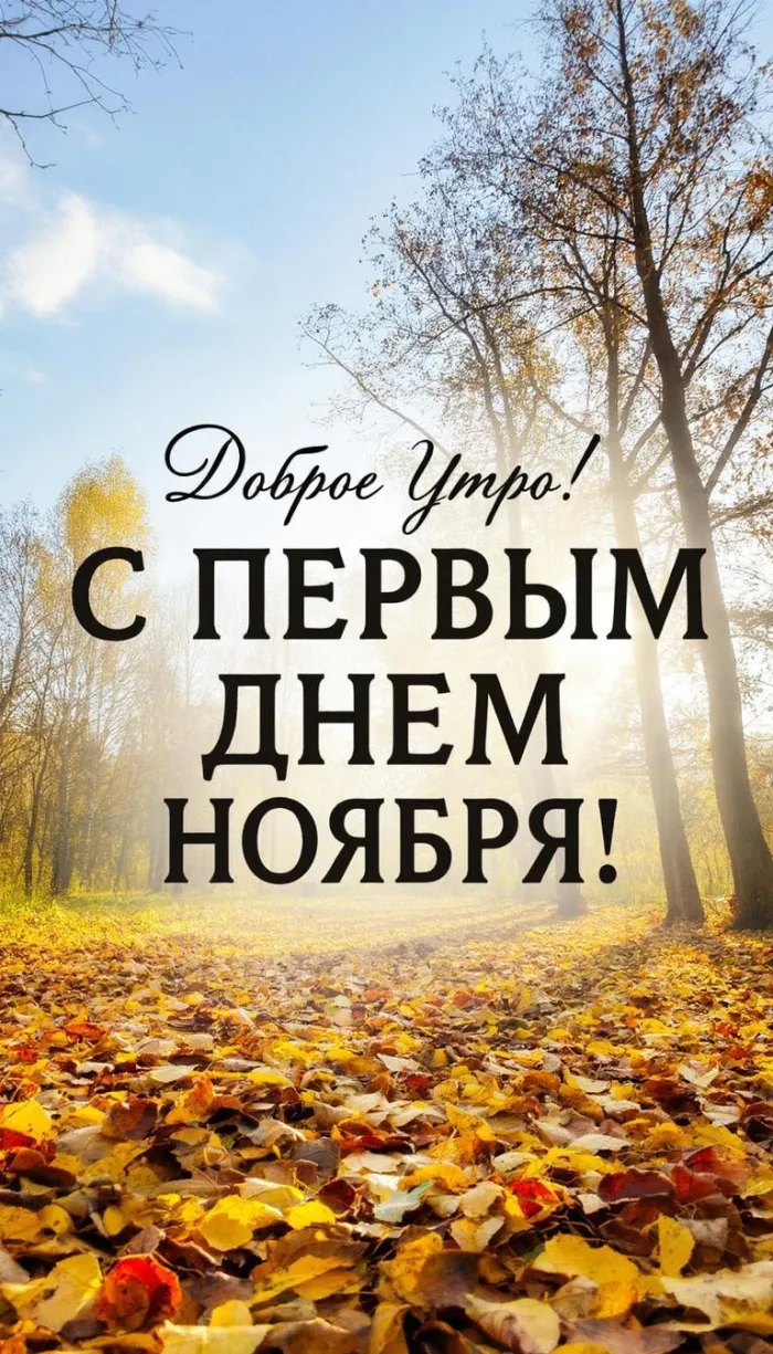 Картинки с первым днем ноября (100 открыток). Картинки с надписью: Доброе утро, с первым днем ноября