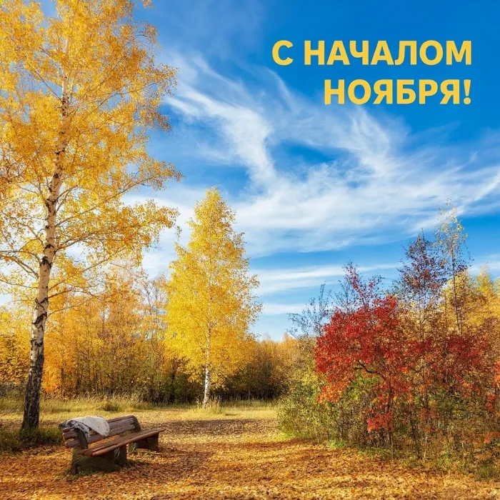 Картинки с первым днем ноября (100 открыток). Оригинальные картинки с началом ноября