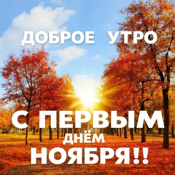 Картинки с первым днем ноября (100 открыток). Картинки с надписью: Доброе утро, с первым днем ноября