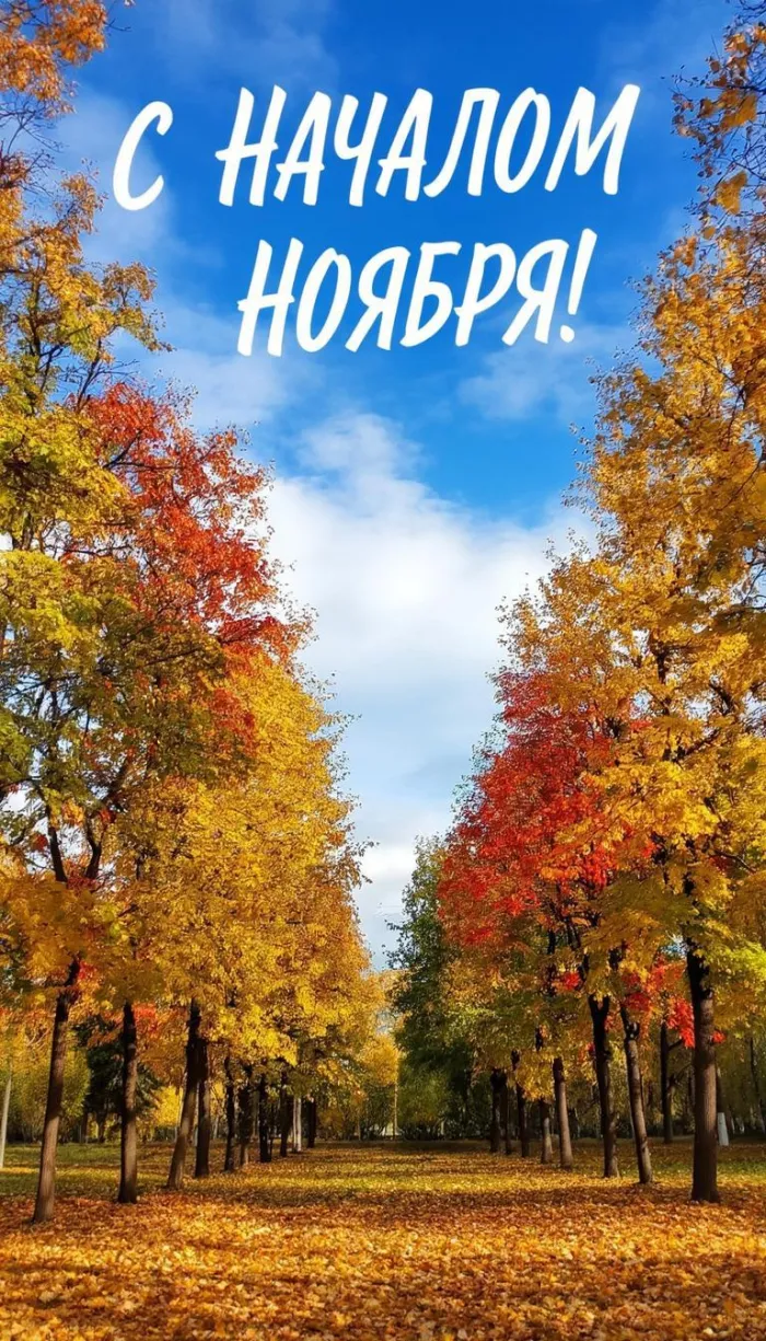 Картинки с первым днем ноября (100 открыток). Оригинальные картинки с началом ноября