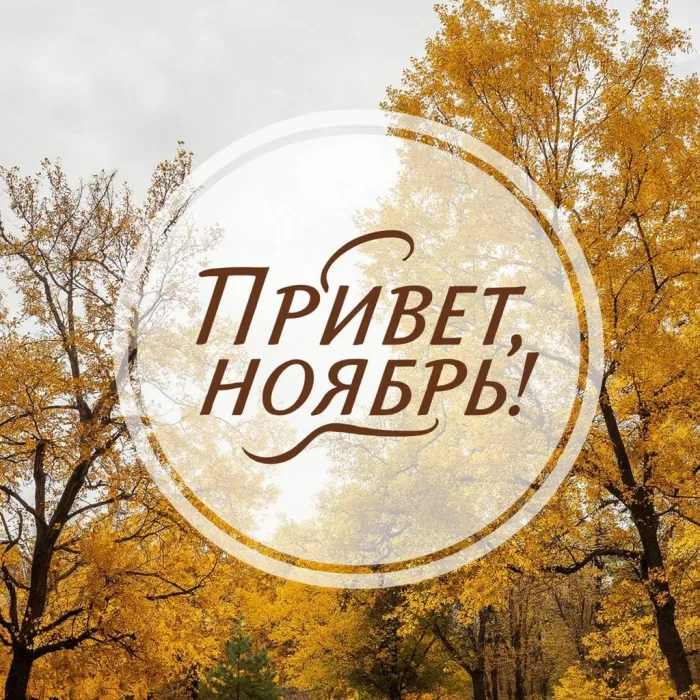 Картинки с первым днем ноября (100 открыток). Открытки с надписью: Привет, ноябрь!