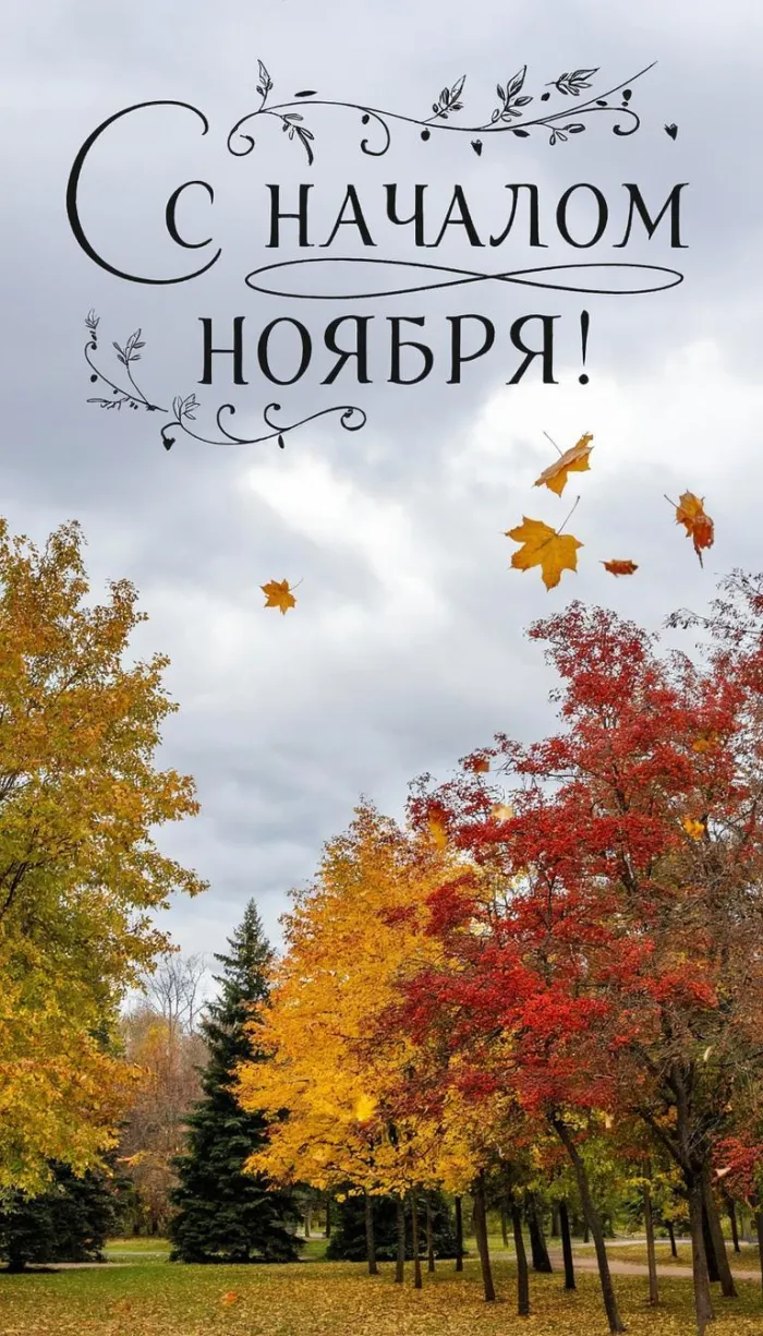 Картинки с первым днем ноября (100 открыток). Оригинальные картинки с началом ноября