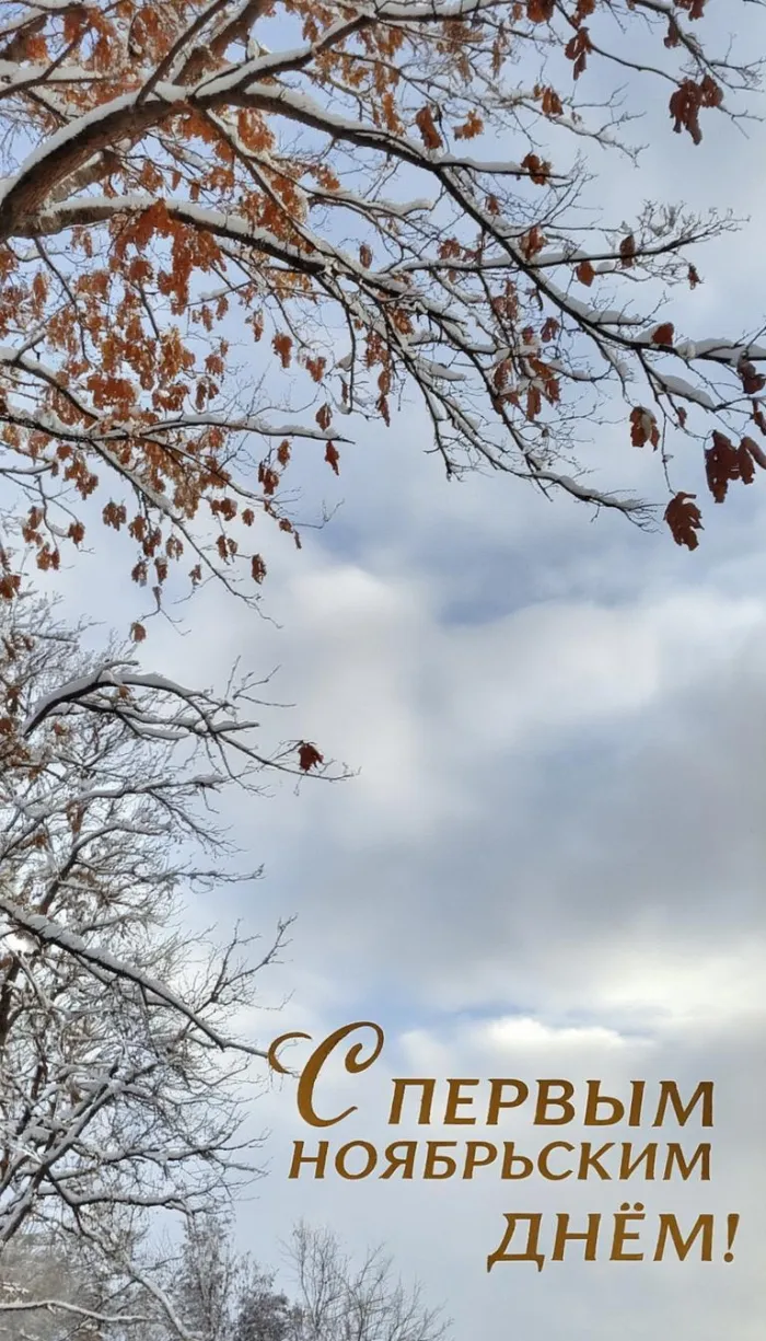 Картинки с первым днем ноября (100 открыток). Позитивные картинки с первым ноябрьским днем