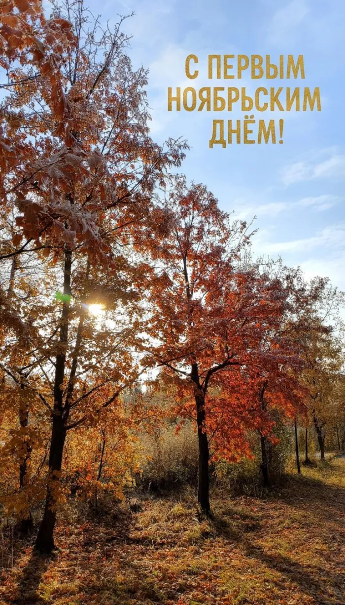 Картинки с первым днем ноября (100 открыток). Позитивные картинки с первым ноябрьским днем