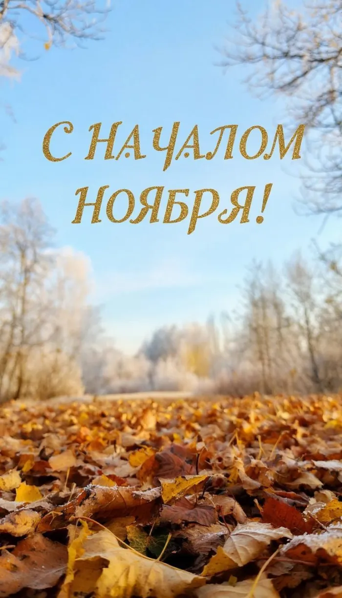 Картинки с первым днем ноября (100 открыток). Оригинальные картинки с началом ноября