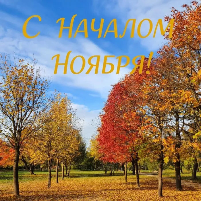 Картинки с первым днем ноября (100 открыток). Оригинальные картинки с началом ноября