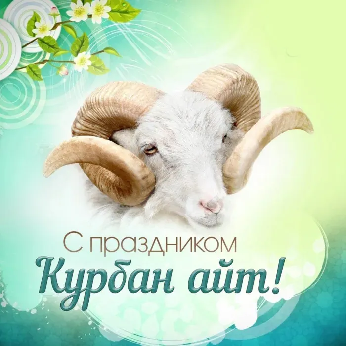 Курбан-байрам: 250 картинок с праздником. Красивые картинки с праздником Курбан-байрам
