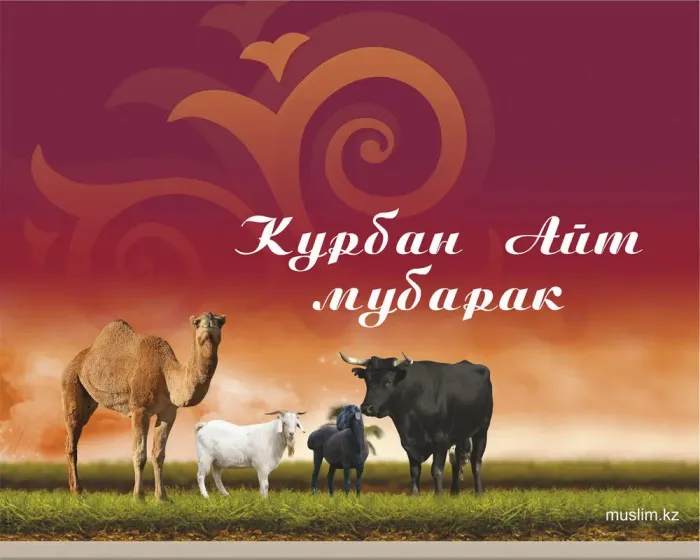 Курбан-байрам: 250 картинок с праздником. Красивые картинки с праздником Курбан-байрам